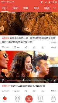 队长被爆料视频大全集下载,揭秘幕后真相与精彩瞬间