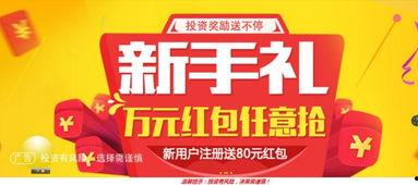 网贷平台最新爆料信息网,揭秘行业内幕与风险预警
