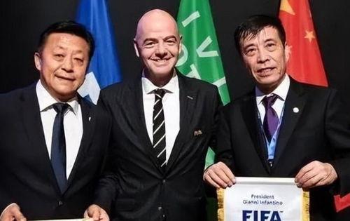 刘凯橄榄球爆料视频播放,揭秘橄榄球运动的背后故事