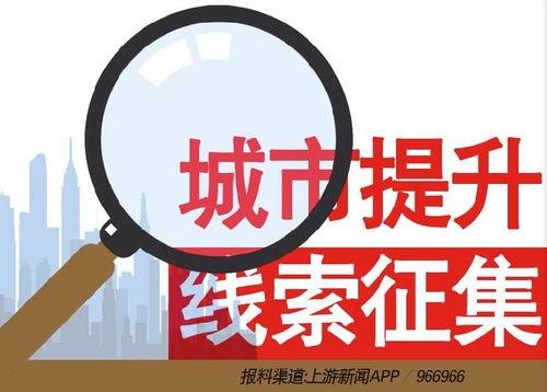 新闻爆料上什么网,揭秘新闻背后真相