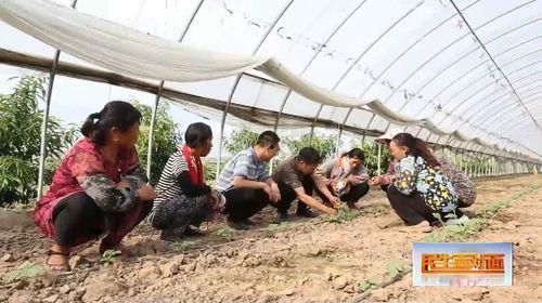 娱乐吃瓜封面怎么做视频,简单步骤与创意指南