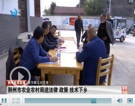 八村最新爆料新闻,揭秘背后惊人真相！”