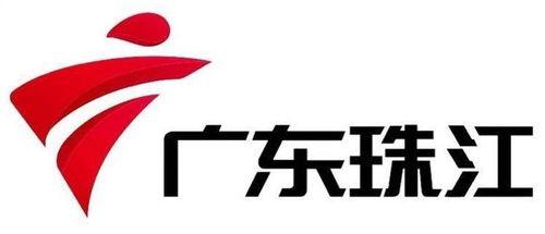 广东珠江电视台爆料视频,揭秘事件背后惊人真相