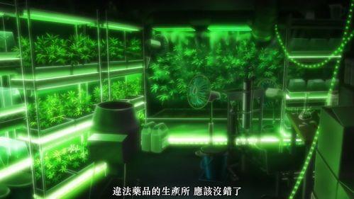 池袋爆料原视频,揭秘原视频背后的惊人真相