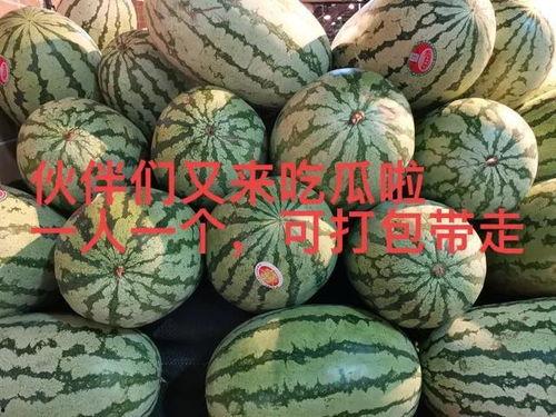最新爆料大瓜,神秘大瓜震惊业界，真相即将揭晓！