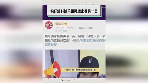 爆料家暴男娱乐圈小说,家暴阴影下的爱情救赎