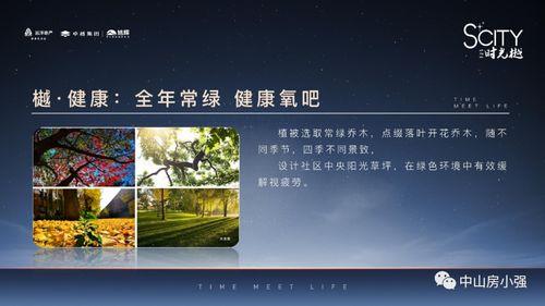 榆树防控中心最新爆料,揭秘疫情背后的真相与挑战