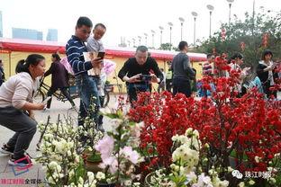 花街在线视频观看,沉浸式体验古韵风情，一网打尽经典瞬间