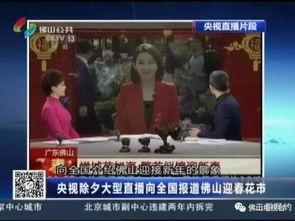 花街在线视频观看,沉浸式体验古韵风情，一网打尽经典瞬间