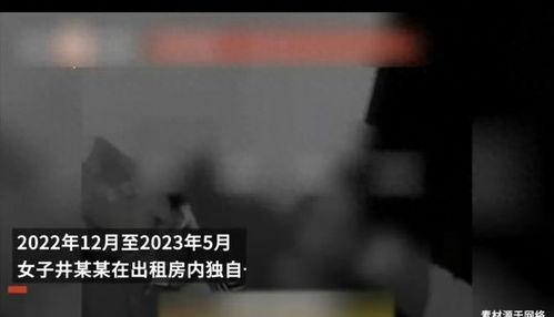 117爆料视频,事件背后惊人真相