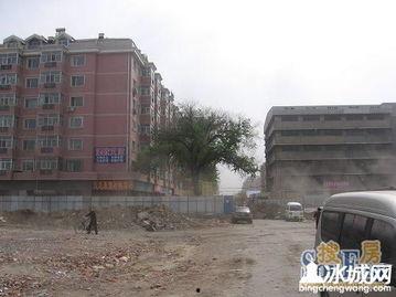 宁阳金阳广场最新爆料,焕新升级，繁华盛启！