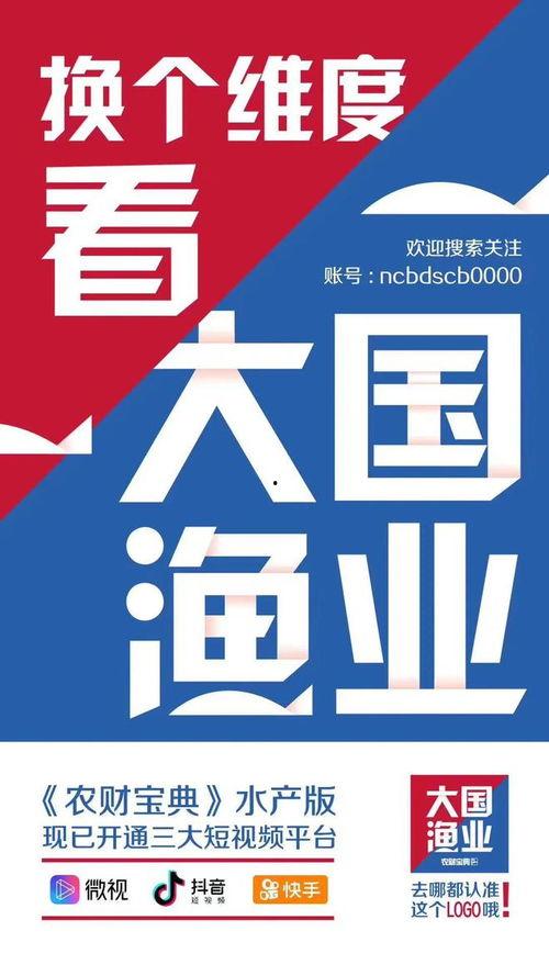 视频爆料给新闻号违法吗,新闻号发布内容是否违法？