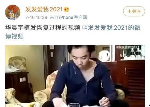 秃头最新爆料视频大全集,揭秘娱乐圈不为人知的秘密