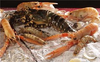 海虾养殖爆料视频,视频爆料背后的养殖真相