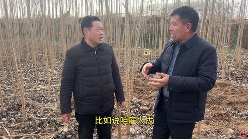 豫东小老弟爸爸最新爆料,揭秘背后惊人真相！