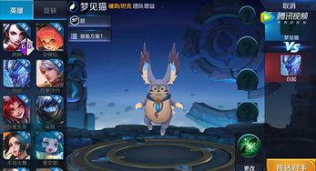 猫神王者爆料视频大全集,揭秘游戏幕后精彩瞬间