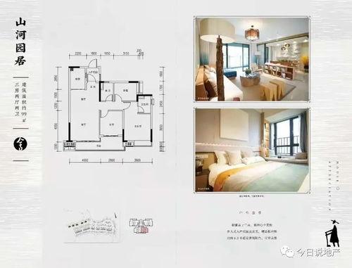 保利爆料最新消息,揭秘项目进展与未来规划