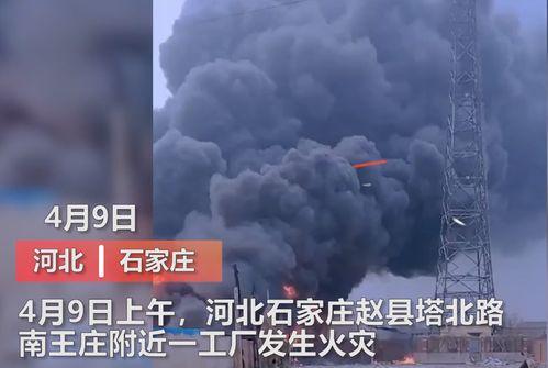 媒体爆料白鹿事件视频大全,揭秘背后真相与争议