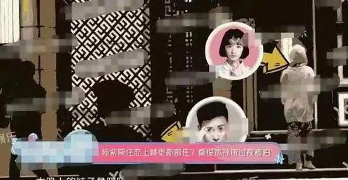 媒体爆料白鹿事件视频大全,揭秘背后真相与争议