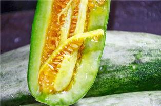 网红吃瓜官,揭秘娱乐圈幕后真相