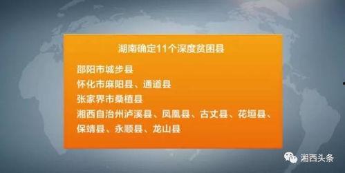 湖南省新闻爆料电话号码,揭秘湖南省新闻爆料电话号码背后的故事