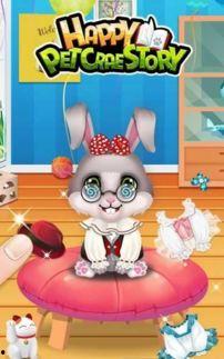 快乐宠物在线观看,萌宠相伴，欢乐无限在线观看之旅