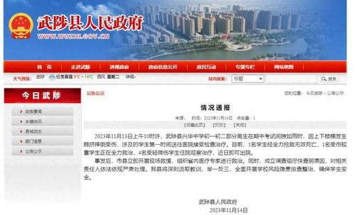 重庆高中爆料新闻报道视频,揭秘校园内幕，视频曝光惊人一幕