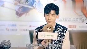 白敬亭吴磊爆料视频,娱乐圈幕后故事大曝光