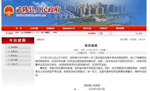 南台高中爆料新闻事件,揭秘校园风云背后的真相