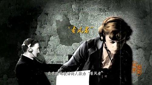 捕风者在线观看