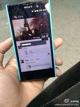 广州台今日爆料,揭秘某事件背后惊人真相