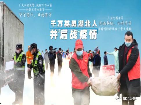 深圳都市频道新闻爆料,揭秘某事件背后真相