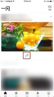 流沙水果摊爆料视频,趣味日常，水果摊里的欢乐时光