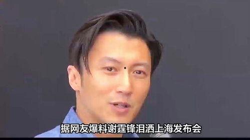 娱乐圈爆料 谢霆锋,揭秘不为人知的背后故事