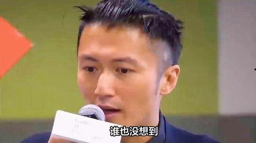 娱乐圈爆料 谢霆锋,揭秘不为人知的背后故事