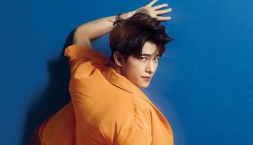 娱乐爆料杨洋迪丽热巴,娱乐爆料引粉丝热议