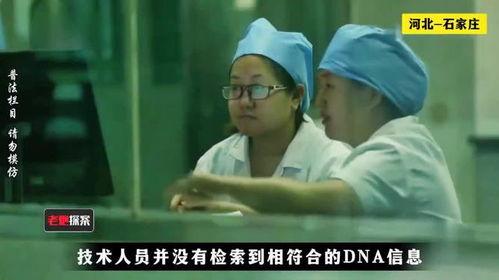 爆料母子失踪视频播放全集,全程追踪，揭开神秘失踪之谜