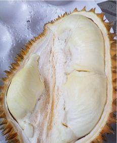 榴莲催熟爆料方法图解视频,图解视频教你轻松掌握催熟技巧