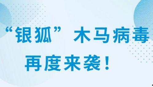云南曲靖新闻爆料视频,最新爆料视频揭示惊人事件