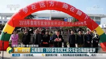 云南曲靖新闻爆料视频,最新爆料视频揭示惊人事件