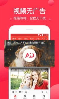 吃瓜打脸小说免费阅读下载,免费阅读下载，揭开小说世界的神秘面纱