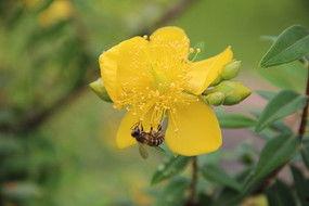 吃瓜打脸小说免费阅读下载,免费阅读下载，揭开小说世界的神秘面纱