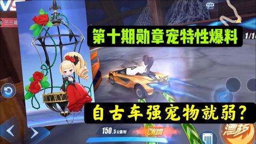 飞车第十期最新爆料,全新爆料揭秘，速度与激情再升级！