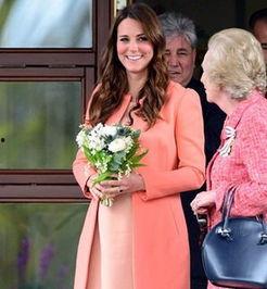 香港爆料凯特王妃妈妈视频,凯特王妃妈妈视频引发热议