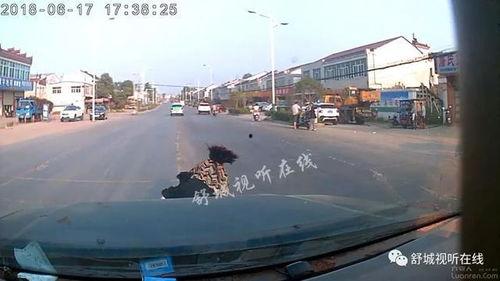 清远都市爆料事件视频,视频揭露惊人真相，引发社会热议