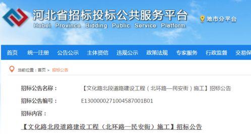 河北省委爆料最新消息今天,揭秘重大事件背后真相！”