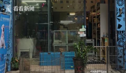 新兴宠物店爆料新闻事件,揭秘新兴宠物行业潜规则