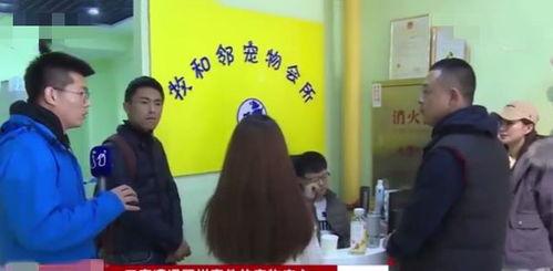 新兴宠物店爆料新闻事件,揭秘新兴宠物行业潜规则