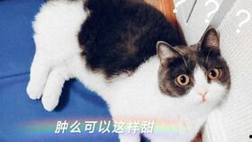 cp吃瓜直播娱乐圈