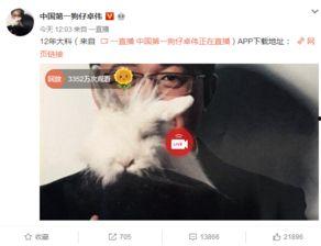 泰国真实爆料视频播放,揭秘幕后真相